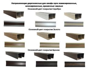 Направляющие двухполосные для шкафа купе ламинированные, шпонированные, крашенные эмалью Ленинск-Кузнецкий